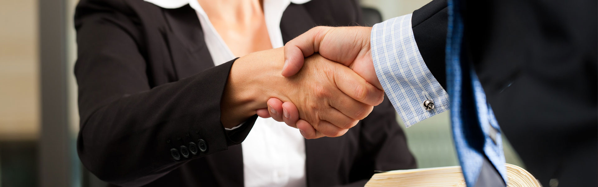 LOS COLEGIOS PROFESIONALES thumbnail