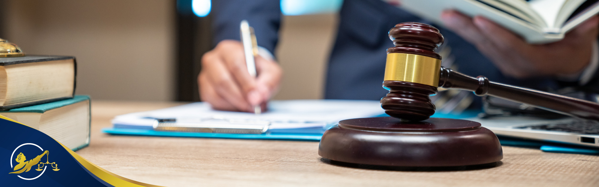 SOBRE EL RECURSO DE PROTECCIÓN thumbnail